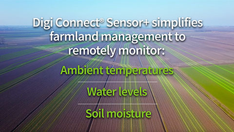Solutions for Precision, Automation, Sustainability, and Safety in Agriculture 