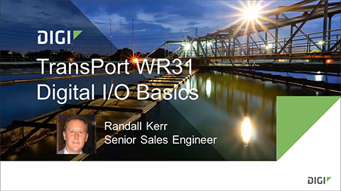 Digi TransPort 技术：在 TransPort WR31 上使用 GPIO