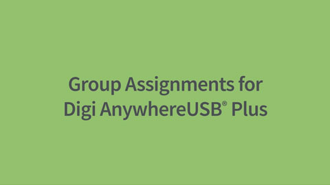 Digi AnywhereUSB Plus 的组分配 - 轻松管理访问！