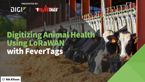 利用LoRaWAN将动物健康数字化