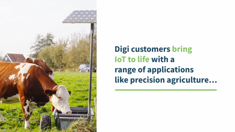 农业饲料仓监控