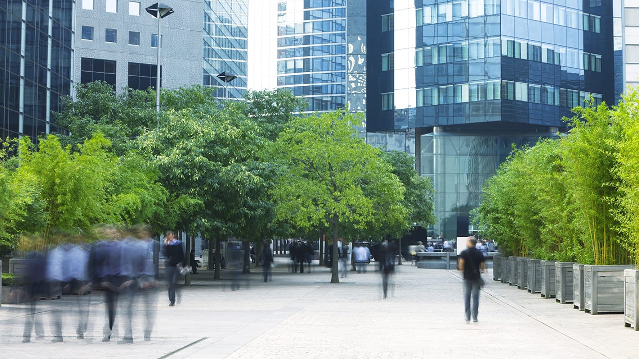 具有绿色空间的可持续城市中心