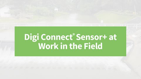 在现场工作的 Digi Connect 传感器+