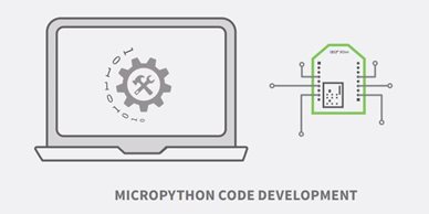 MicroPython Programming