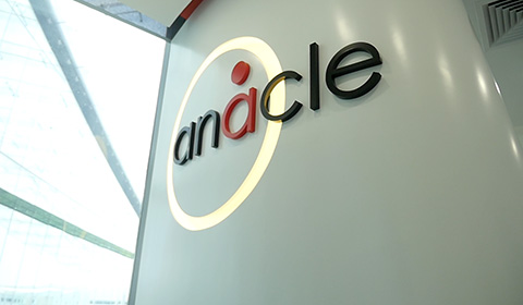 Anacle：利用网状网络降低能耗