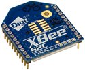 SKU：XB24CDMPIT-001